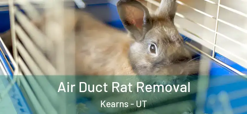 Air Duct Rat Removal Kearns - UT