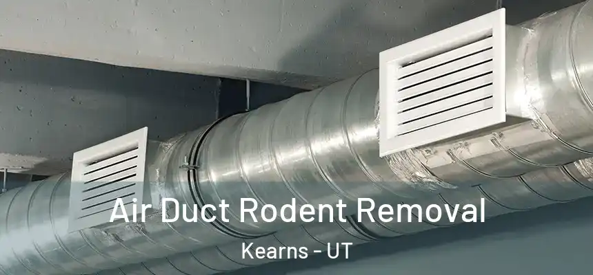  Air Duct Rodent Removal Kearns - UT