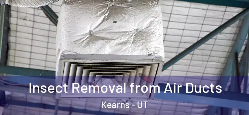 Insect Removal from Air Ducts Kearns - UT