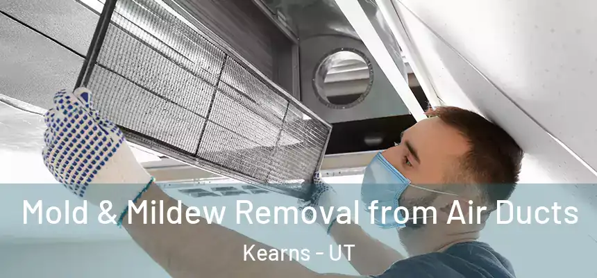  Mold & Mildew Removal from Air Ducts Kearns - UT