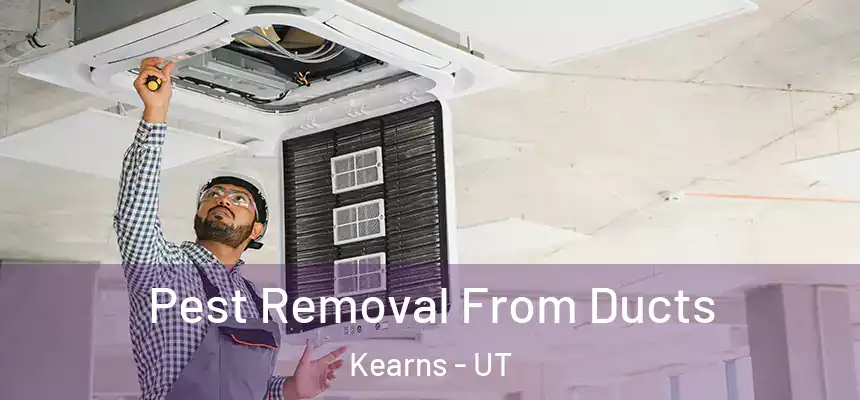  Pest Removal From Ducts Kearns - UT
