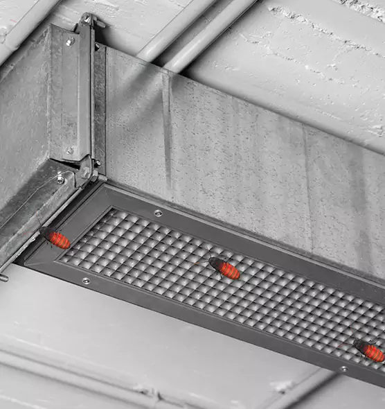 Affordable Insect Removal from Air Ducts in Kearns, UT