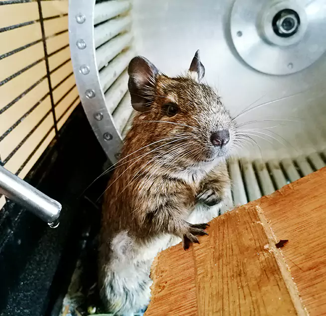 Why Homeowners & Businesses Trust Us Kearns, UT?